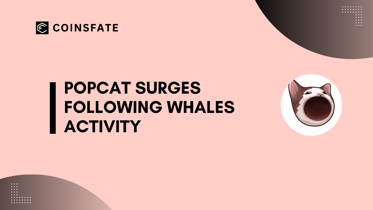 Popcat (POPCAT) Surges Following The Recent Accumulation By Whale