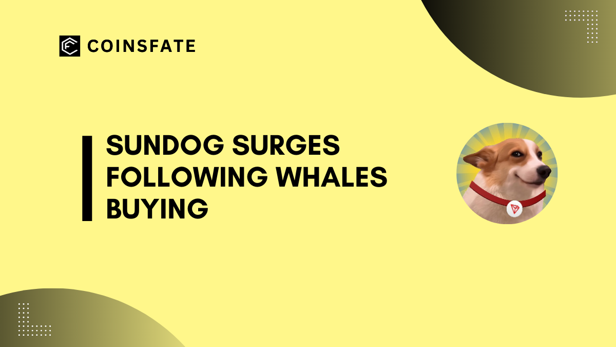 Sundog (SUNDOG) Surges Following The Huge Accumulation By Large Whale