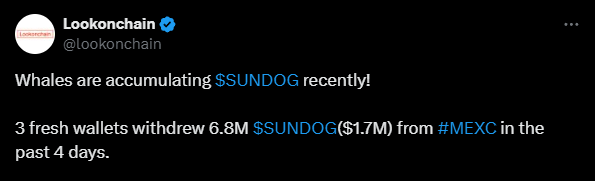 sundog whales buying