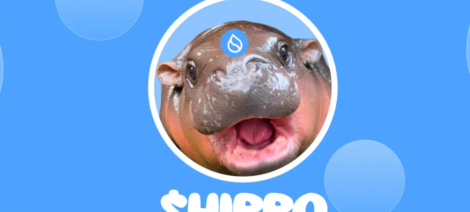 HIPPO MEMECOIN